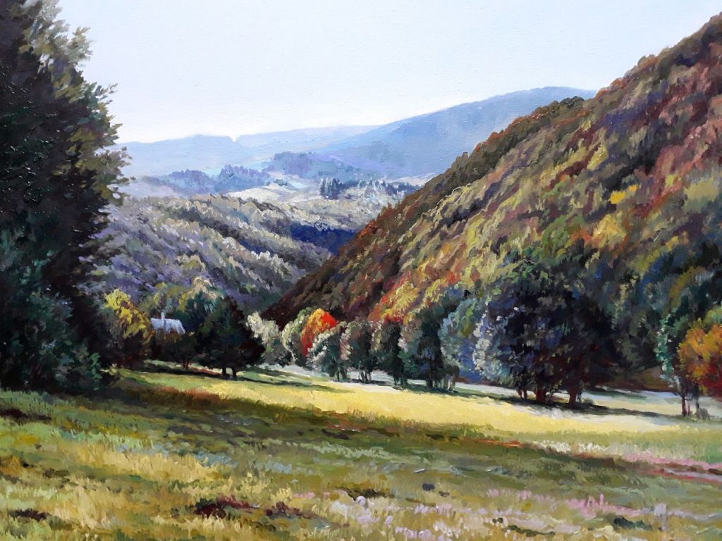 FEREASTRĂ SPRE VLĂDEASA